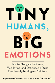 小人類，大情緒：如何讓容易耍脾氣、崩潰、叛逆的小孩成為情緒管理大師